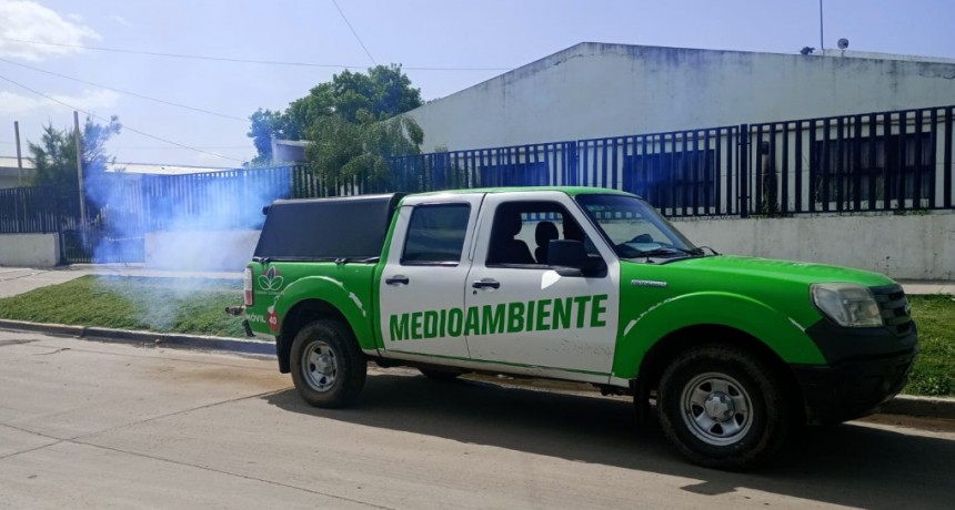 Fumigación en Esteban Echeverría: el Municipio refuerza los operativos para frenar al mosquito del dengue