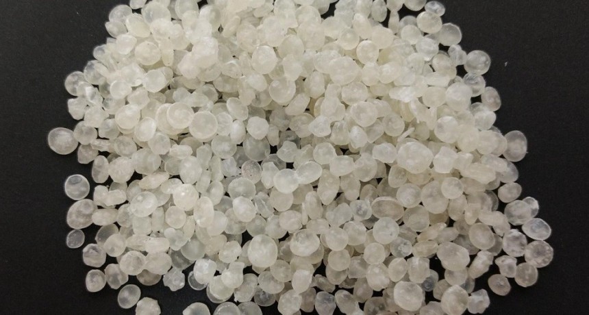 Un equipo del CONICET y una empresa de Misiones desarrollan bolsas biodegradables a partir de almidón de mandioca