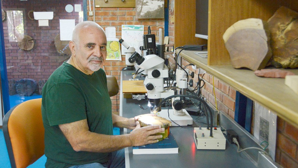 Investigador del CONICET fue incorporado a la International Academy of Wood Science