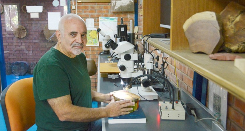 Investigador del CONICET fue incorporado a la International Academy of Wood Science