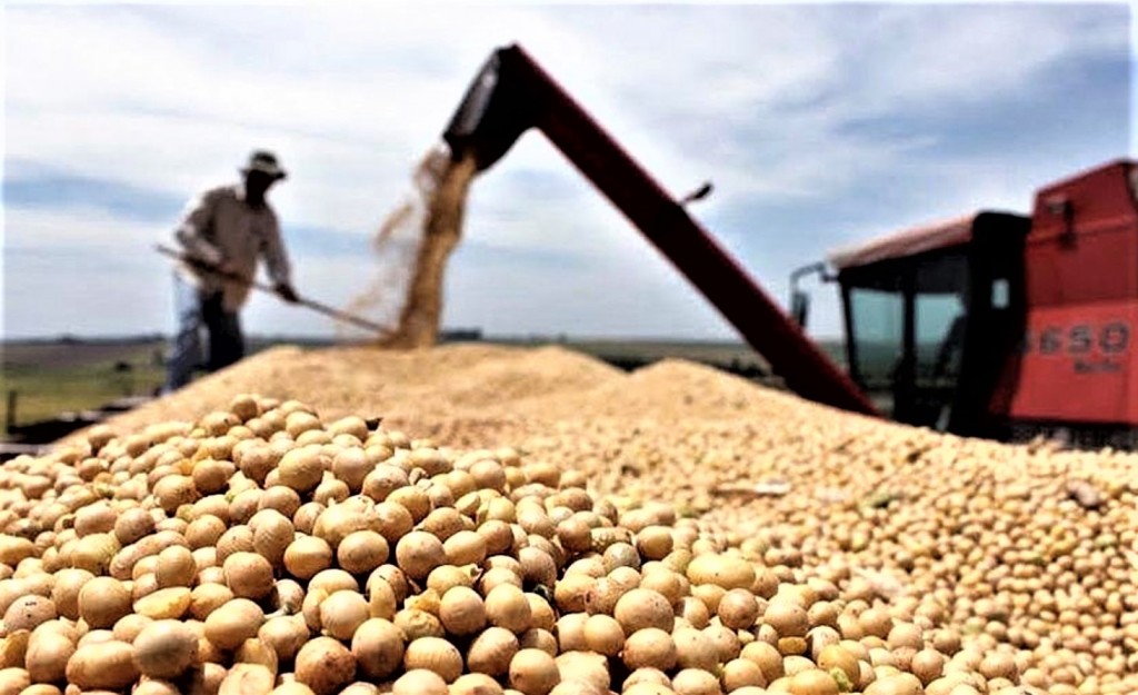 Fuerte baja de retenciones: el Gobierno busca dólares de urgencia y enfrenta una millonaria pérdida fiscal