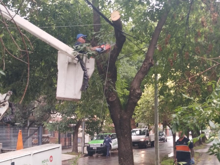 Tras el temporal, el Municipio despliega un operativo de limpieza y prevención en la vía pública