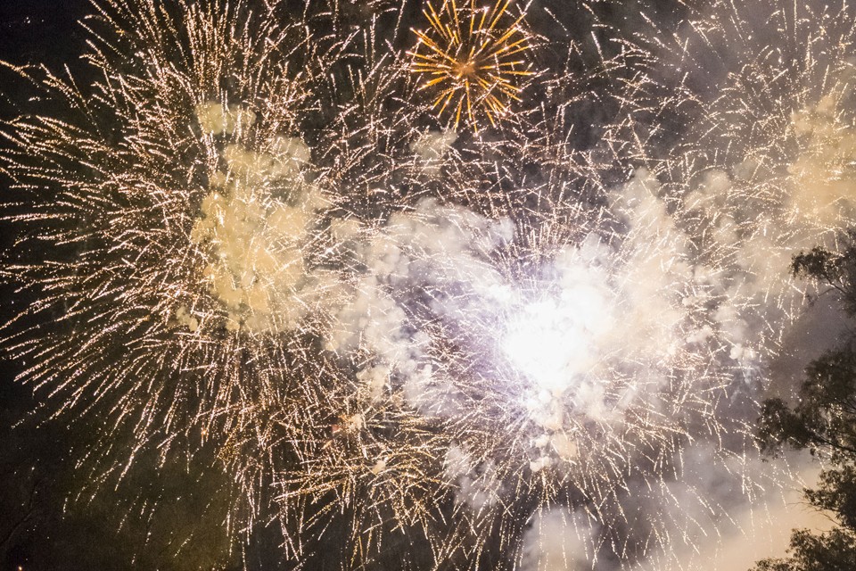 La Ciudad prohíbe la pirotecnia ruidosa en todo su territorio para proteger a personas, animales y al ambiente