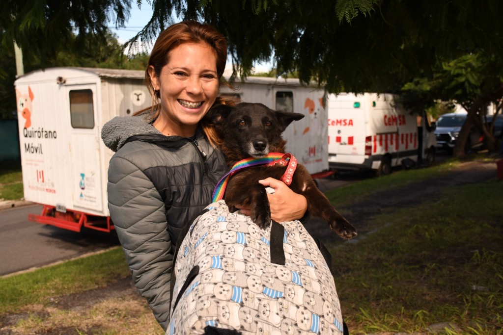 Morón realizó casi 7 mil castraciones y reforzó las políticas de cuidado animal durante 2025