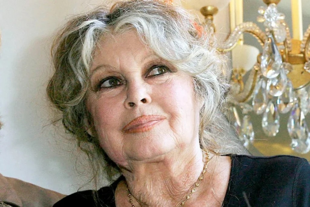 Murió Brigitte Bardot a los 91 años: se apaga un ícono del cine y el activismo animal