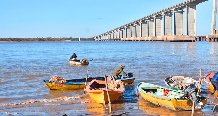 Científicos del CONICET aportan al plan de manejo de un área natural protegida