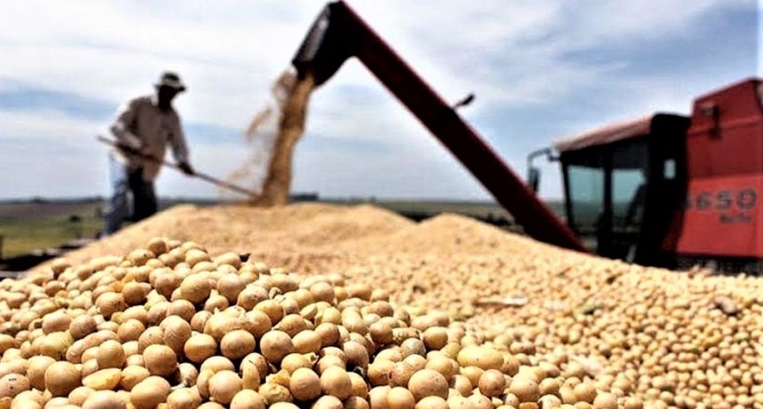 Fuerte baja de retenciones: el Gobierno busca dólares de urgencia y enfrenta una millonaria pérdida fiscal