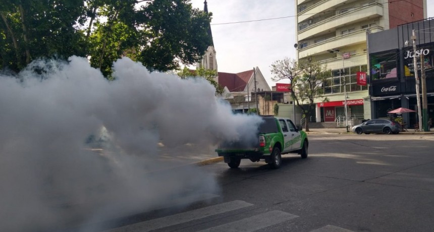 Alerta por dengue: refuerzan las fumigaciones en Esteban Echeverría y piden extremar cuidados