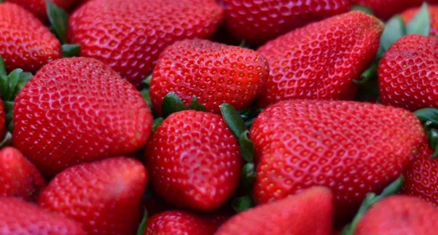De la mesa navideña al camino: una ensalada de frutas bien bonaerense