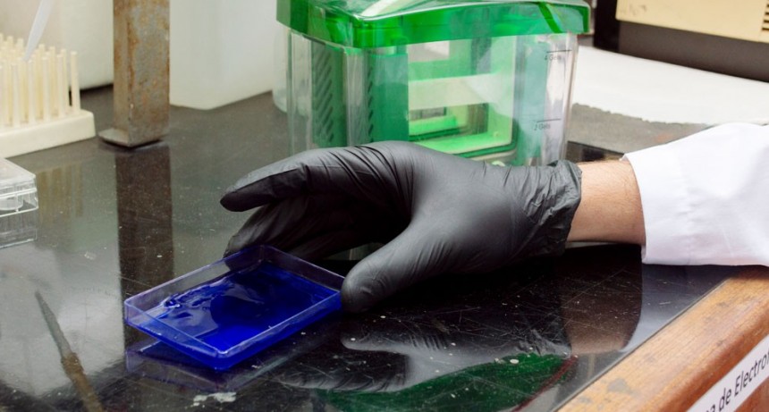 Identifican la falla en una proteína del colesterol “bueno” que predispone al riesgo cardiovascular