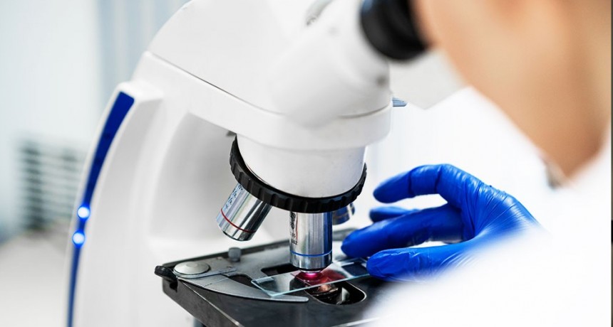 Institutos del CONICET recibieron el Premio Fundación Williams a la Excelencia Científica 2025