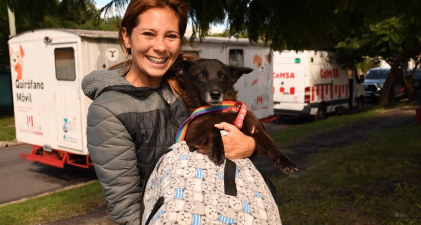 Morón realizó casi 7 mil castraciones y reforzó las políticas de cuidado animal durante 2025