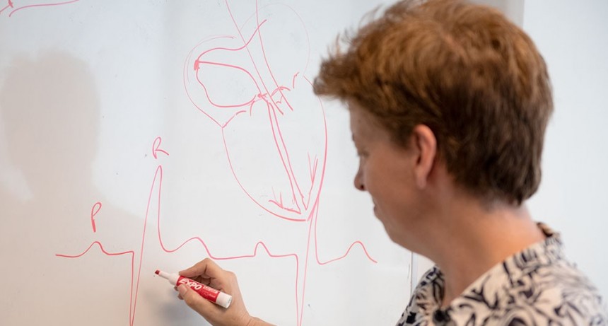 Un avance del CONICET prepara el camino para innovar en el desarrollo de marcapasos y terapias para enfermedades cardíacas